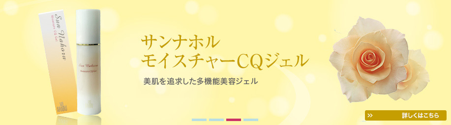 トップページ｜サンナホル 