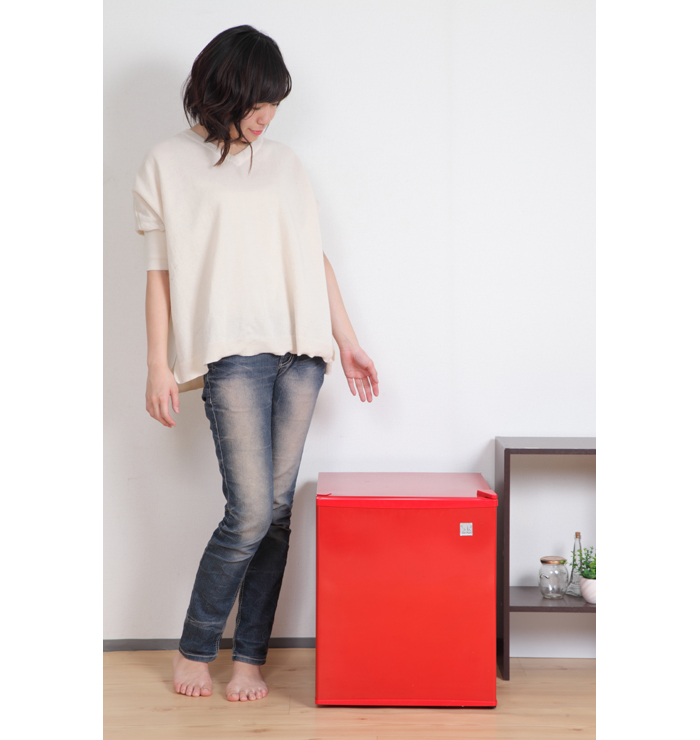 生産終了品】 ペルチェ式 48リットル 1ドア電子冷蔵庫 SR-R4803 | SunRuck