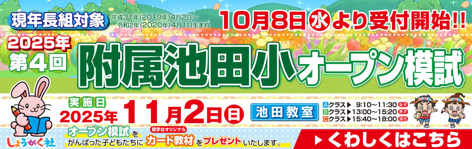 しょうがく社 小3 サブ教材 1年分 しょうがく社 小3 サブ教材 1年分