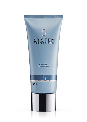 乾燥した髪 | System Professional