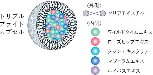 ホワイティシモ デイセラム PI（ピンク）(PI（ピンク）): 商品詳細