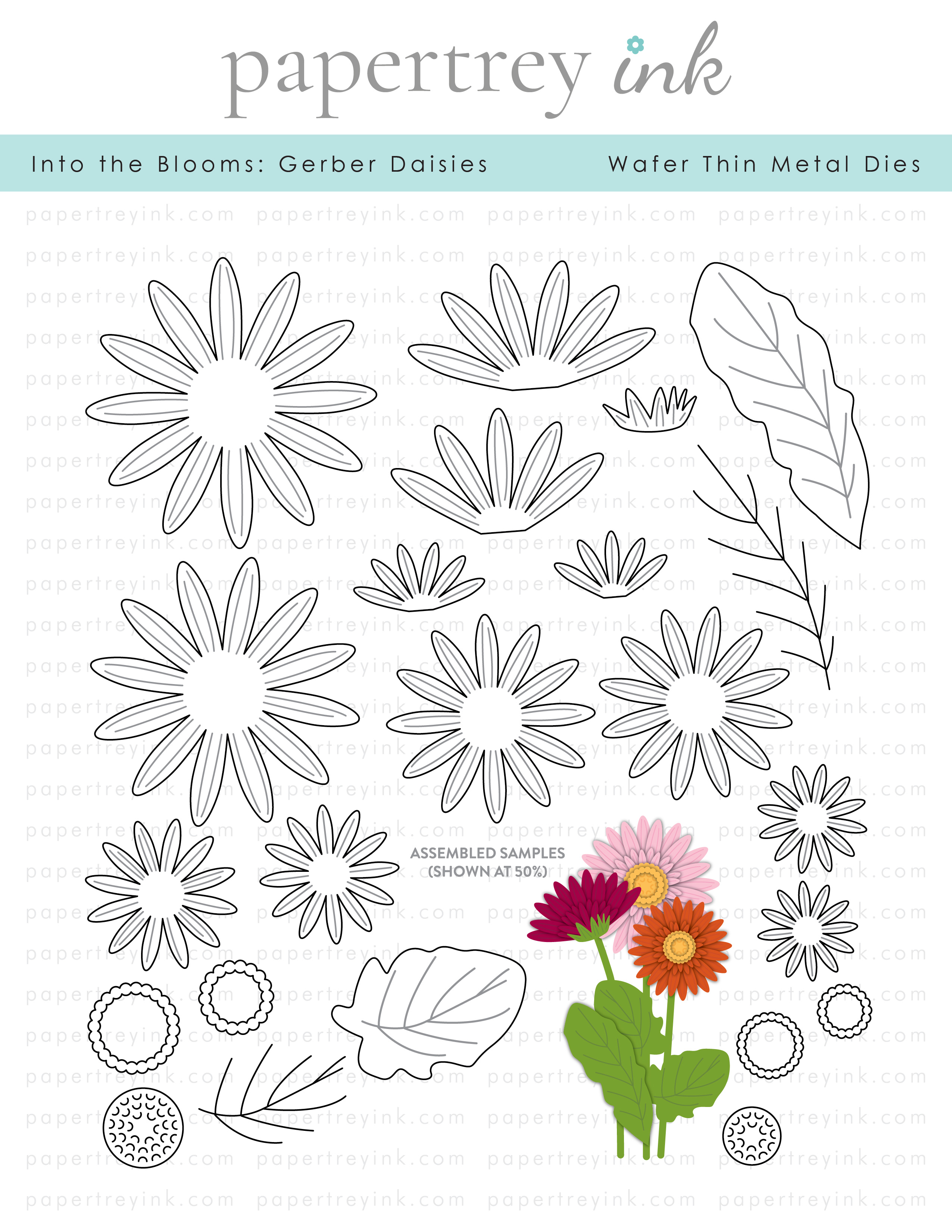 Papertrey Ink - Into the Blooms: Gerber Daisies Die