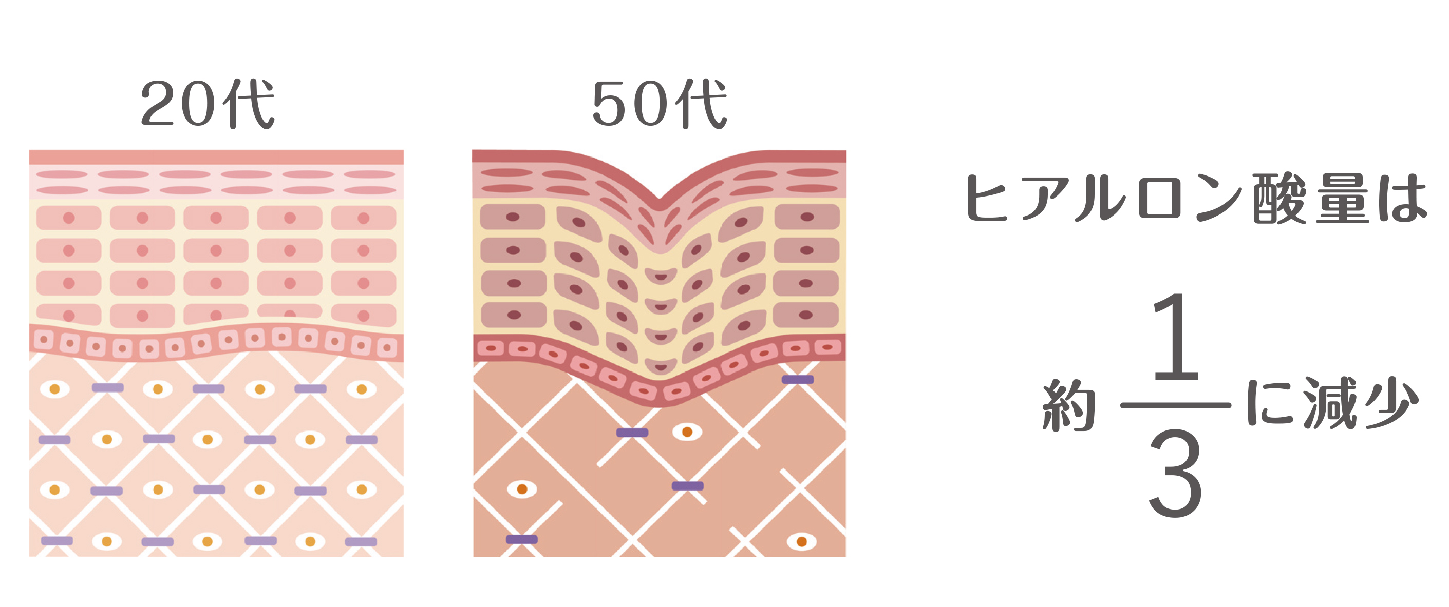 ペレ・グレイス |スキンケアシリーズ・ラカウ|