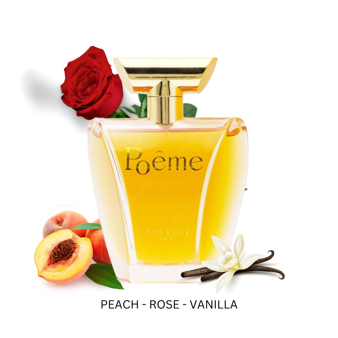 Poeme For Women By Lancome Eau De Parfum – Perfume Plus Outlet