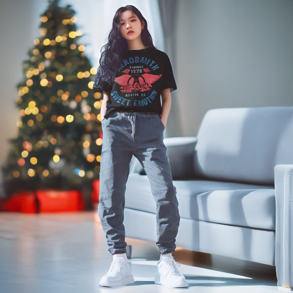 AEROSMITH エアロスミス - Sweet Emotion / Tシャツ / メンズ 【公式