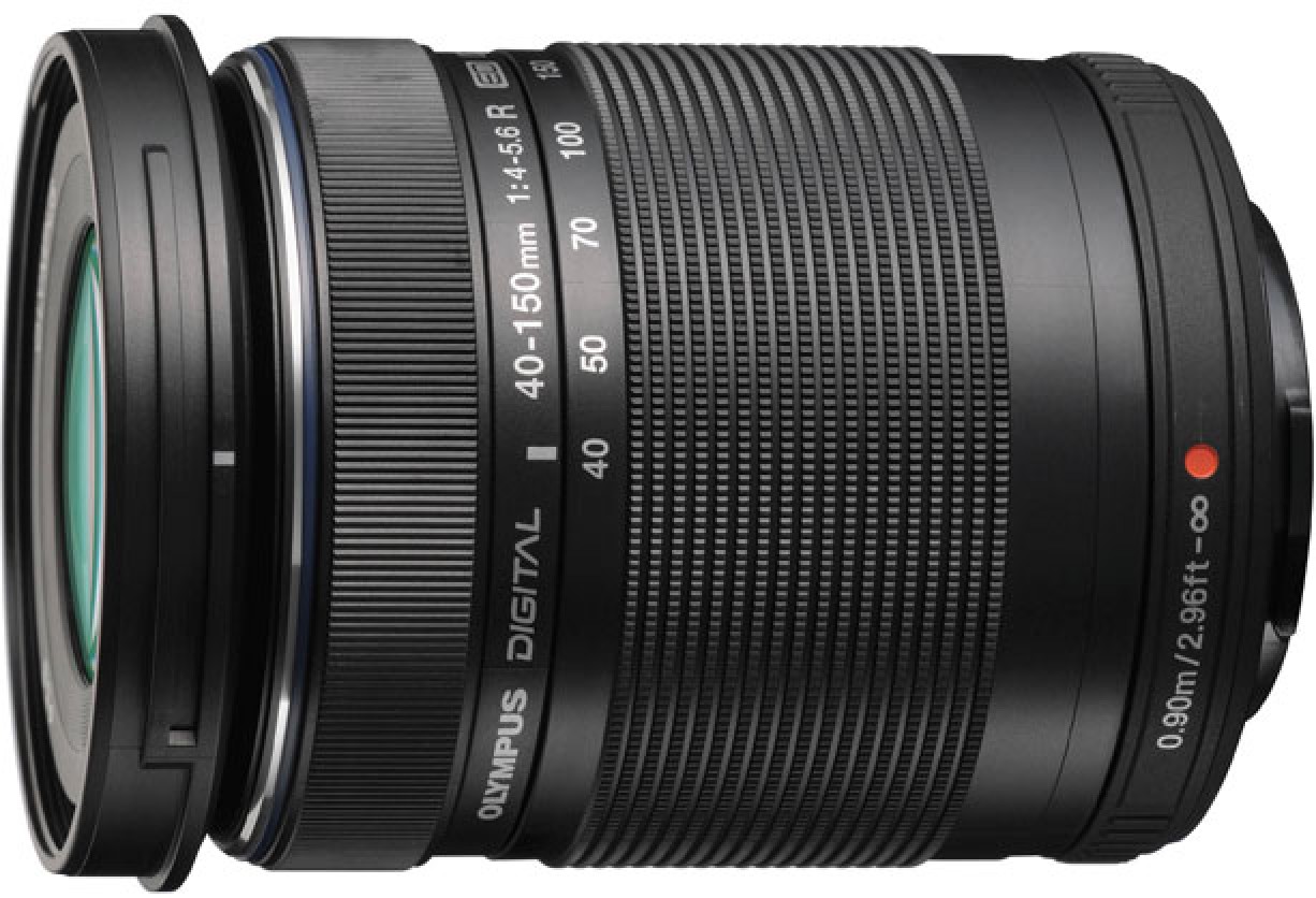 1009949__ScaleHeightWzgzNl0.