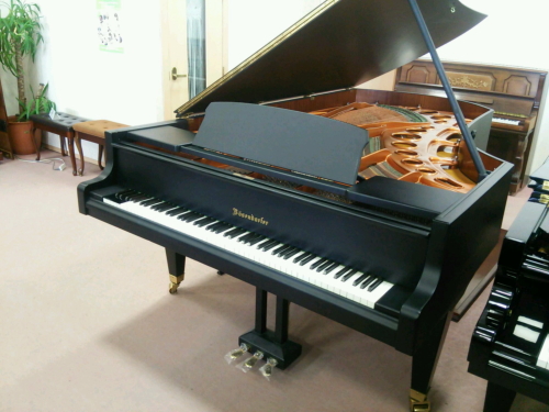 激レア純正 Bösendorferベーゼンドルファーグランドピアノ鍵 激レア