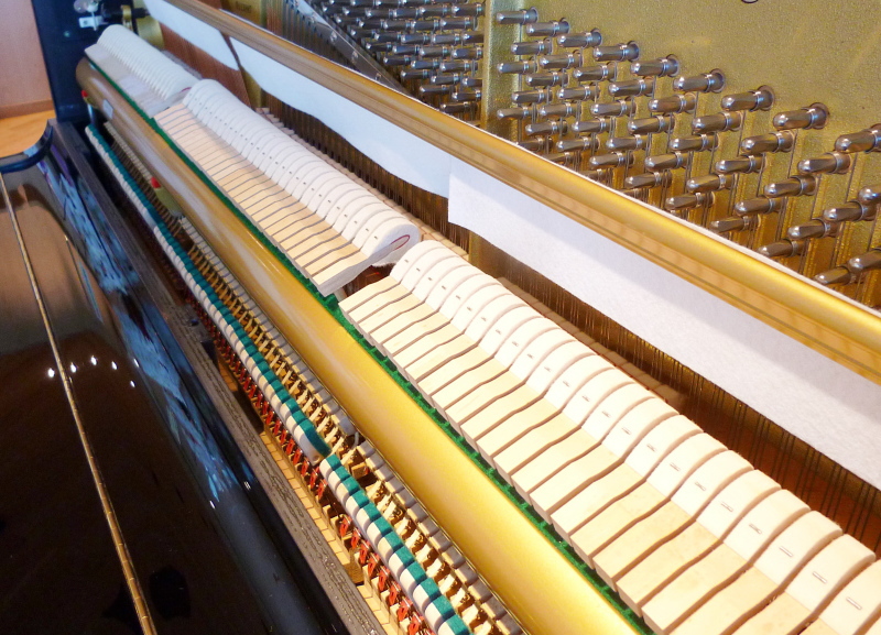 株式会社ピアノプラザ | DIAPASON D-25B(112)