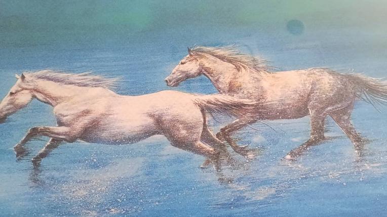 2026年 馬9天に駆け上がる！掛け軸 来年の干支 いかがですか