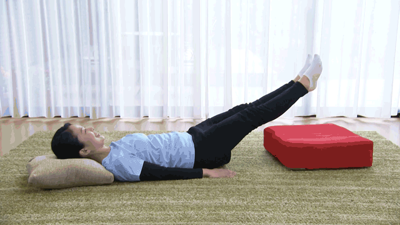 シェイポリン ロコックス トランポリン運動 クッション | TV