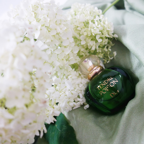 Tendre Poison / タンドゥールプアゾン