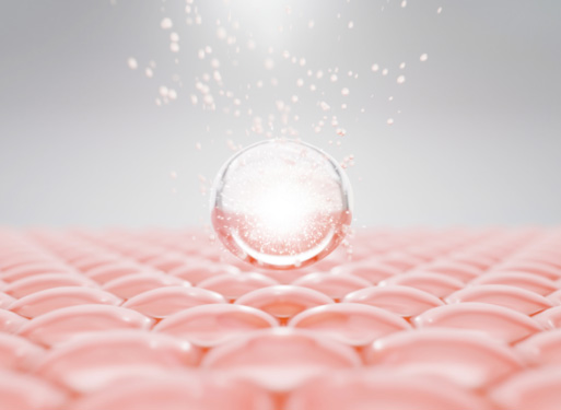 エクストラモイストオイル | プロメディアル - Promedial | ロート製薬