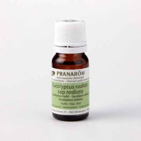 ユーカリ・ラディアタ – プラナロム エッセンシャルオイル・精油｜健草