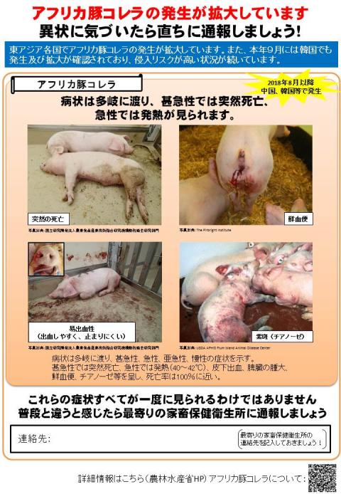 ASF（アフリカ豚熱）に関する情報 | 石川県