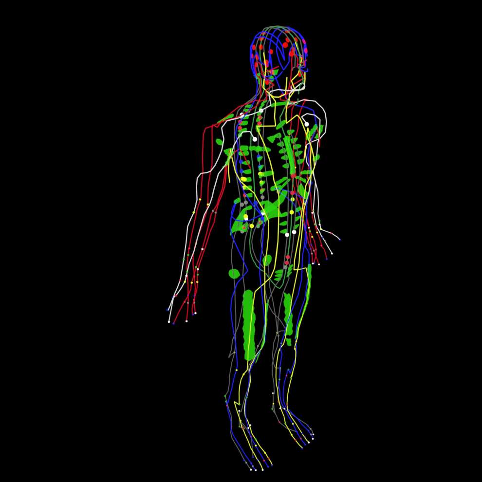 AK（アプライド キネシオロジー）勉強会 2026｜PT-OT-ST.NET