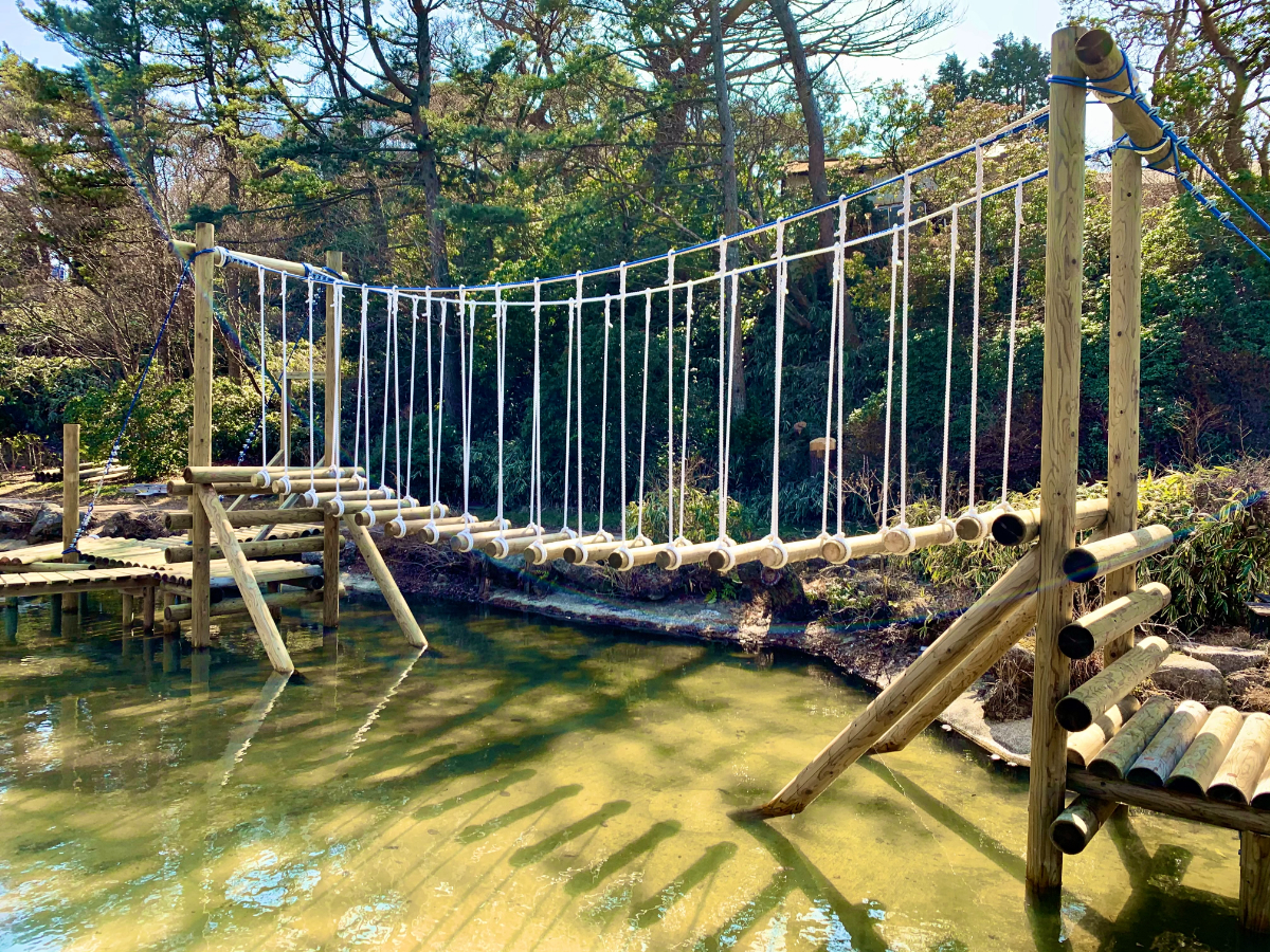 ①シンプルパーチ細め 2本 ②吊り橋ウルトラロング 2個 ③壁