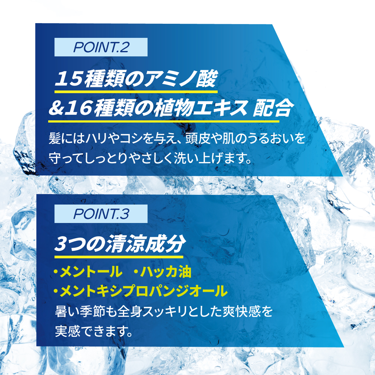 楽天市場】AFC クールオールウォッシュ 爽快柑 480mL 【全身洗浄料