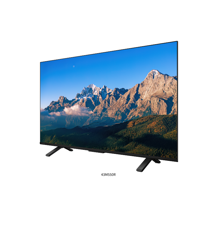 新品未使用 REGZA 65V型 M550M 2024年製 TVS REGZA 65M550M REGZA M550Mシリーズ [65型 地上・BS・110度CS