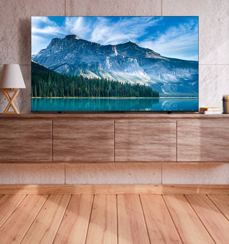 新品未使用 REGZA 65V型 M550M 2024年製 TVS REGZA 65M550M REGZA M550Mシリーズ [65型 地上・BS・110度CS