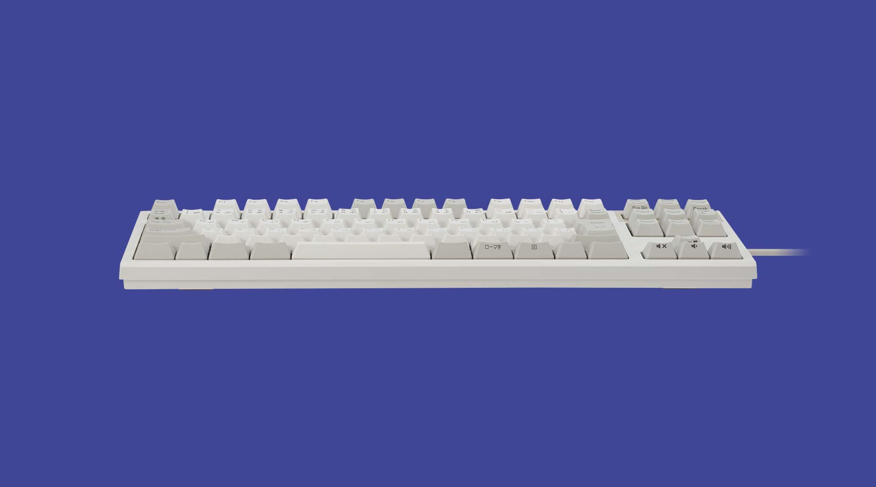 製品 : REALFORCE TKL SA / R2TLSA-JP3-IV | REALFORCE | 日本製