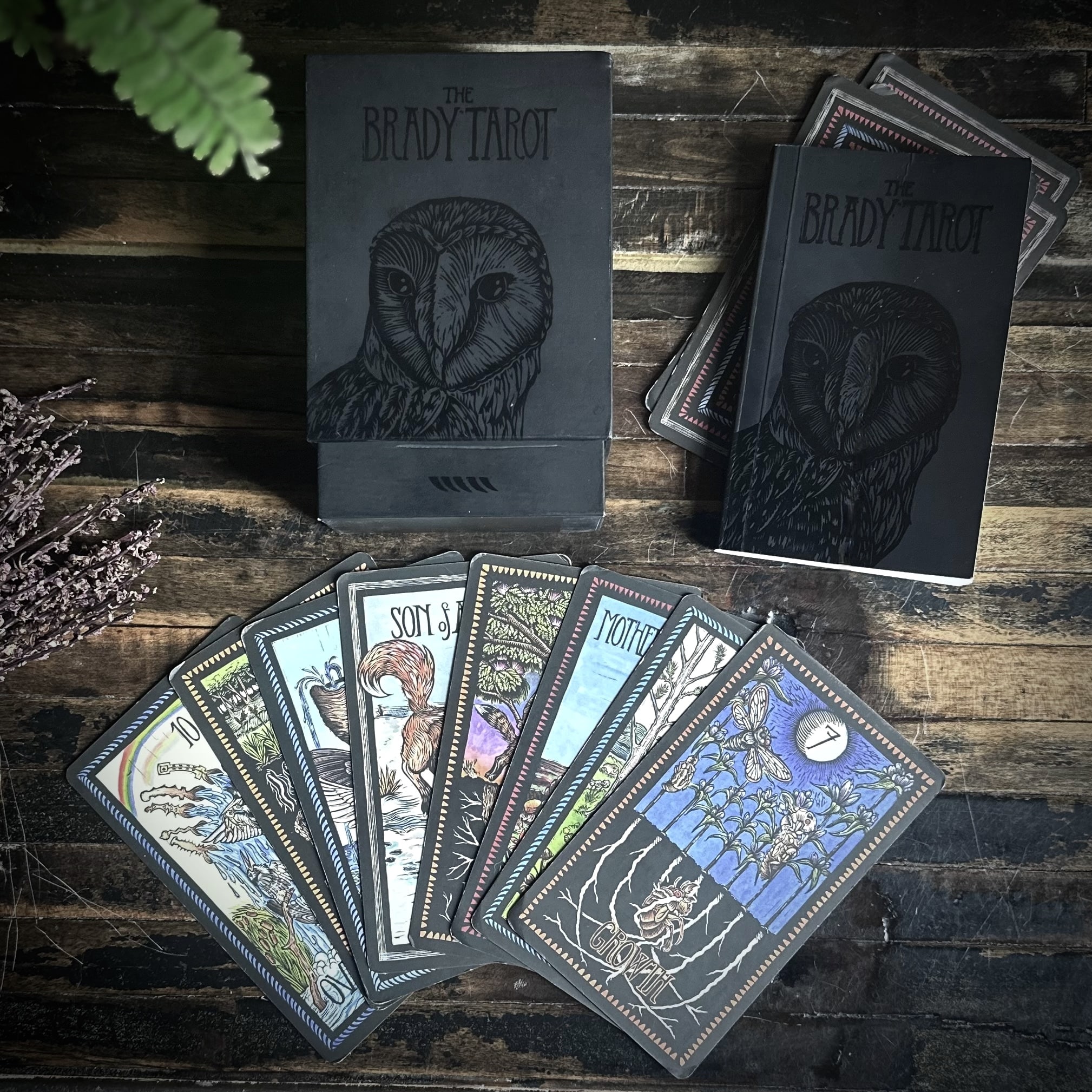 The Brady Tarot. Second Edition. - RitualCravt | Metaphysical
