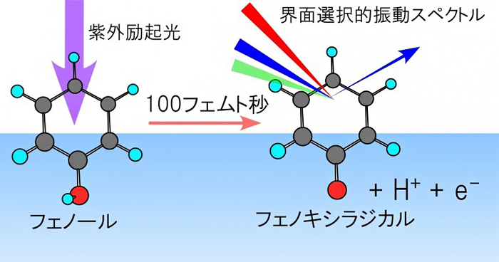 水表面の光化学反応は水中の1万倍速く進む | 理化学研究所