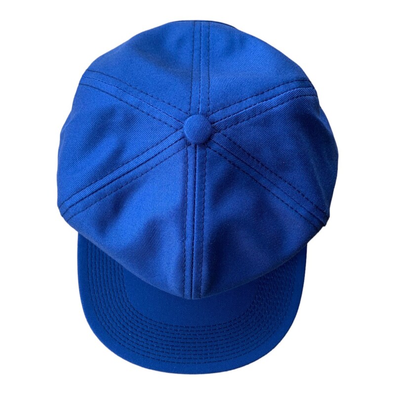 THE H.W.DOG&CO TRUCKER CAP23SS 刺繍ロゴ BLUE - PHILLIP66
