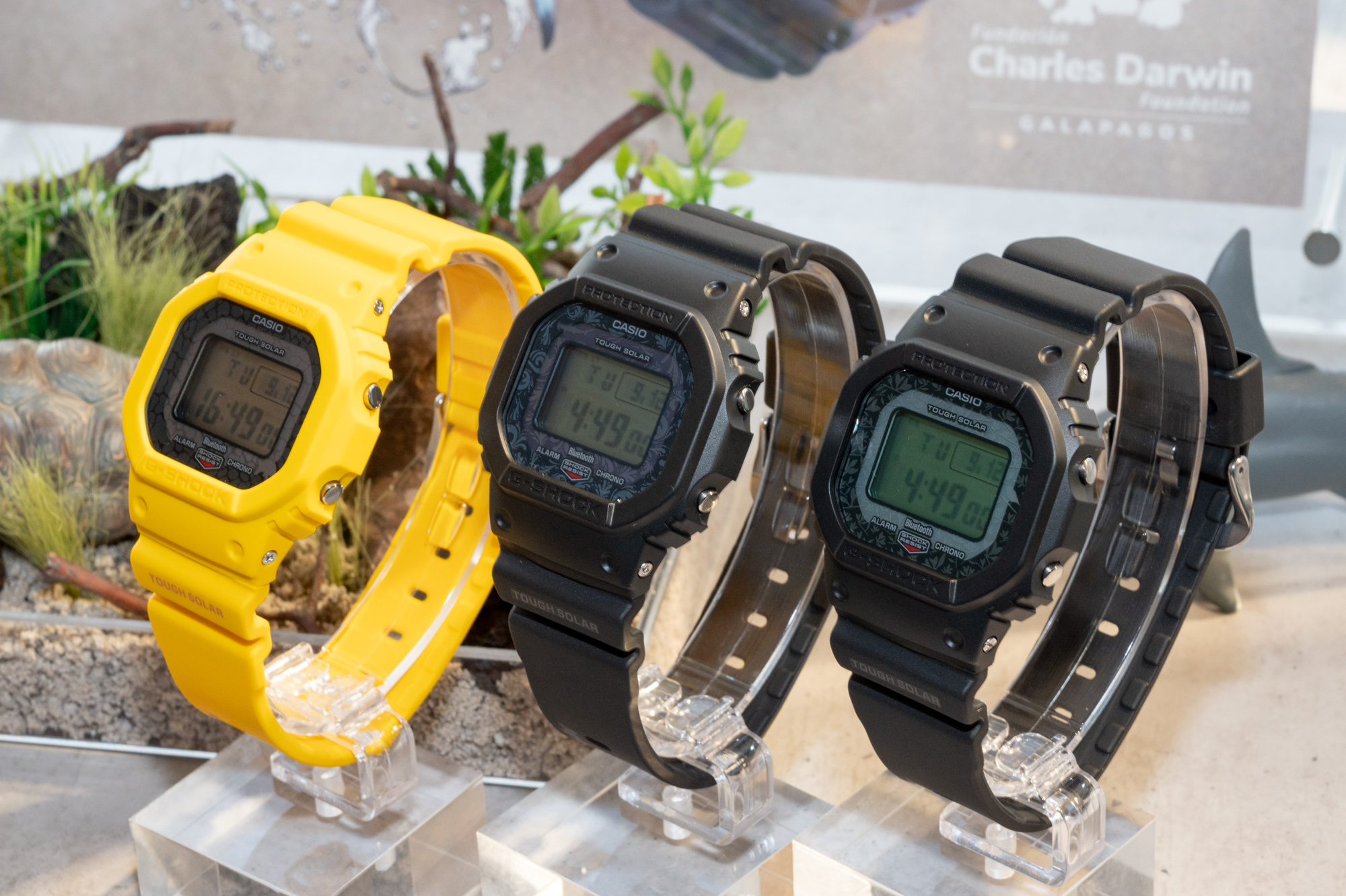 G-SHOCK ガラパゴス諸島がモチーフのダーウィン財団コラボモデル