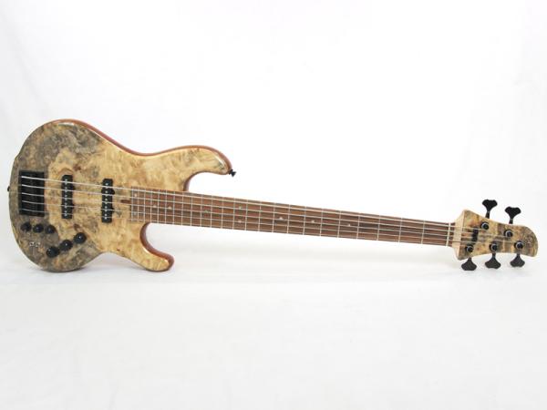 dragonfly CJ5/345 Custom Buckeye Burl / A Mahogany【国産 5弦ベース