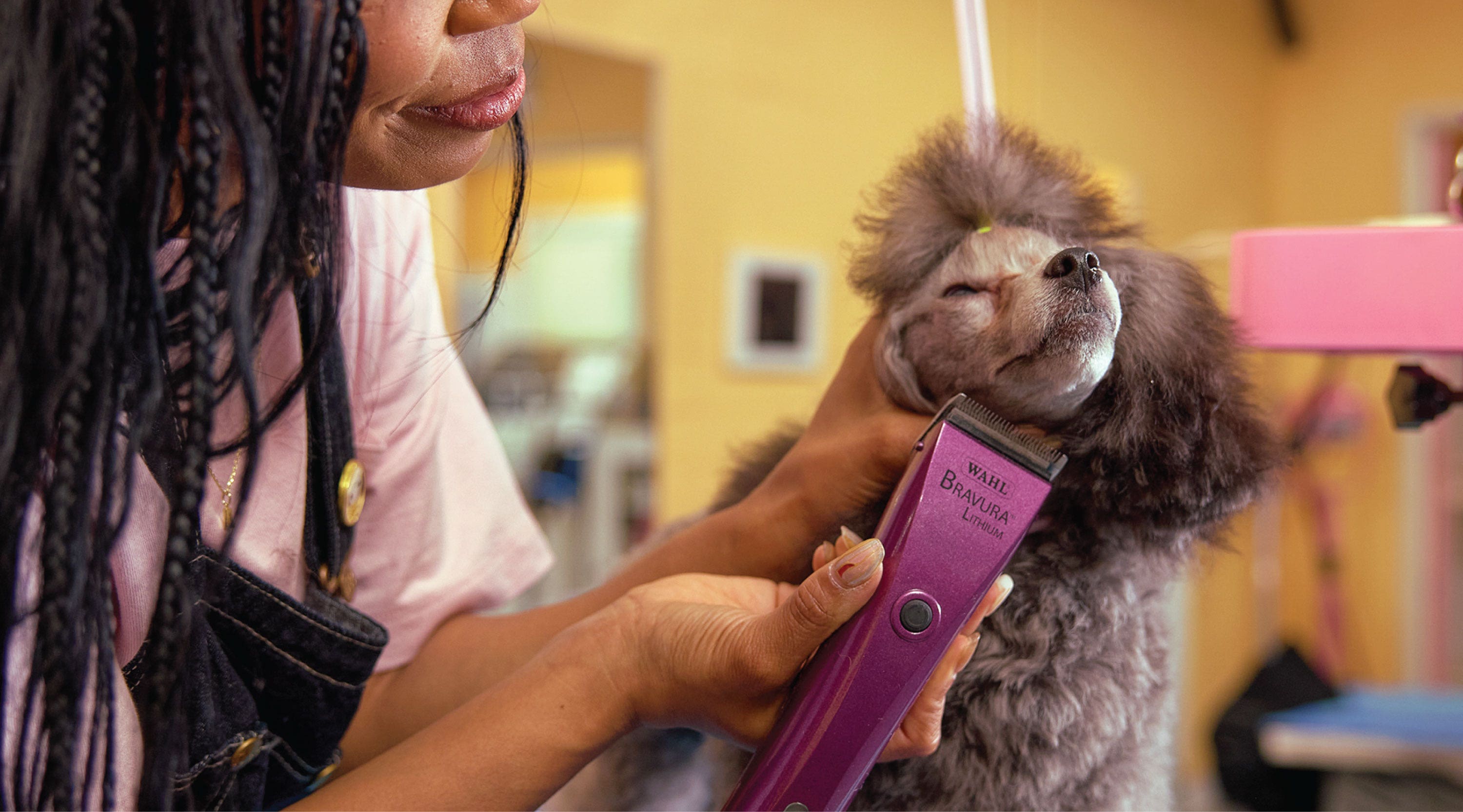 Wahl Bravura Lithium Ion Cordless Clipper | Wahl Pro