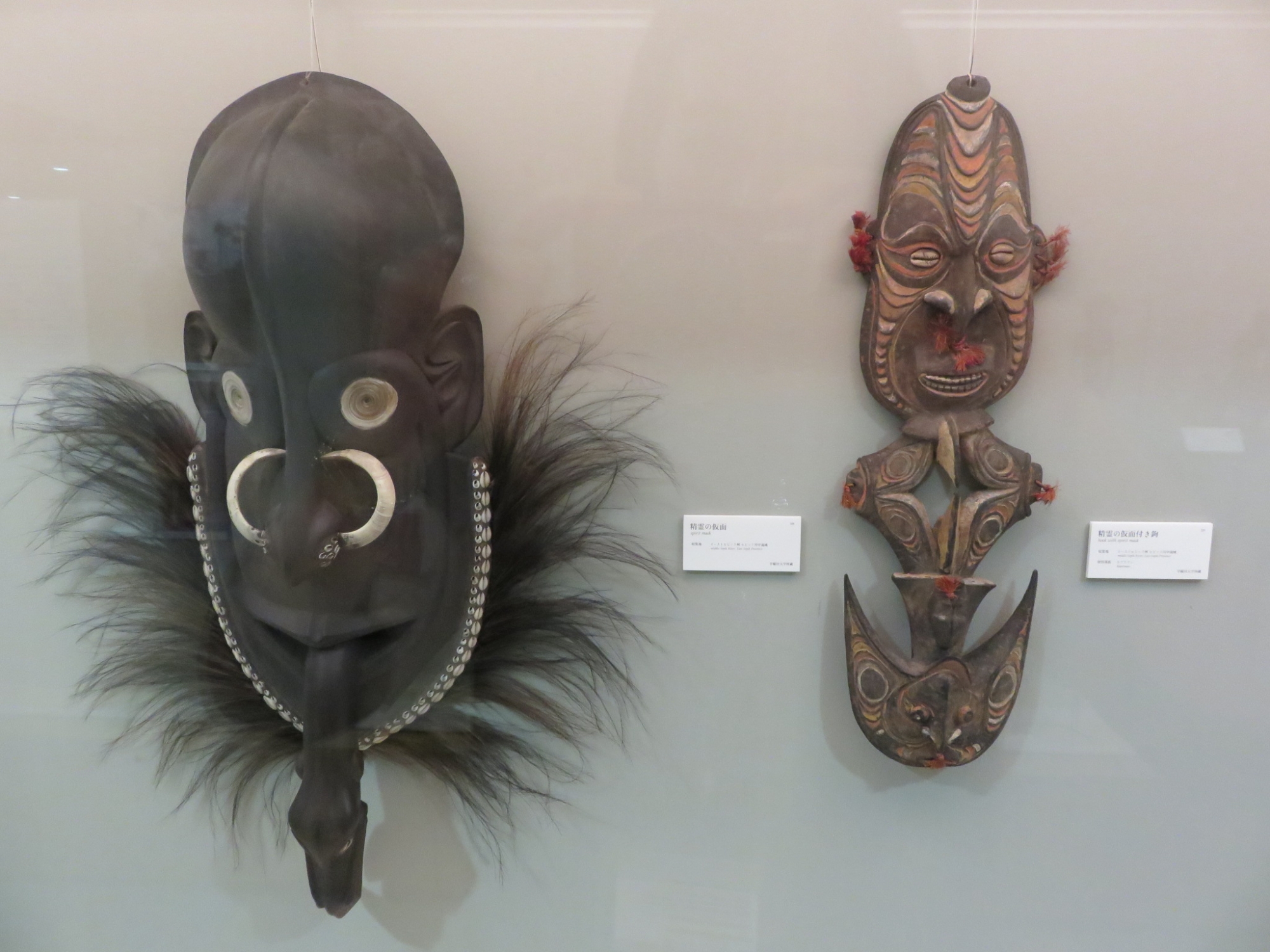 パプアニューギニアの文化に触れてみませんか – 早稲田大学