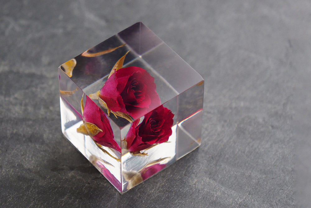 Sola Cube ソラキューブ 限定 ローズ / Usagino Nedoko ウサギノネドコ