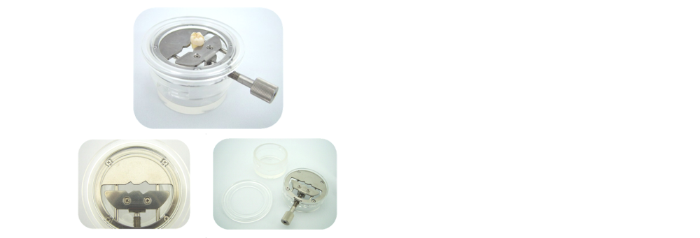 株式会社ムトウ