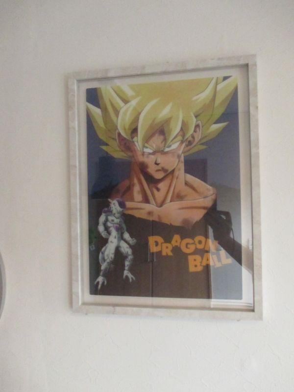 ドラゴンボール[鳥山明◎ビジュアルボード◎悟空フリーザ額縁入