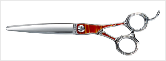 シャークスプレッド／キングスプレッド - TOGINON