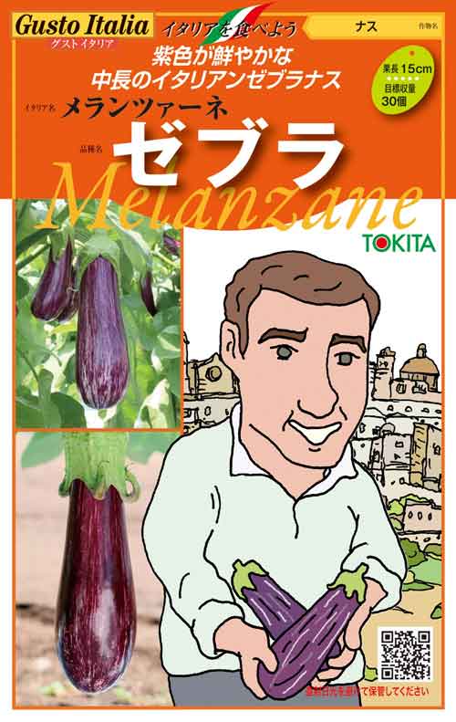 ナス 【メランツァーネ・ゼブラ】 紫色が鮮やかな中長のイタリアン