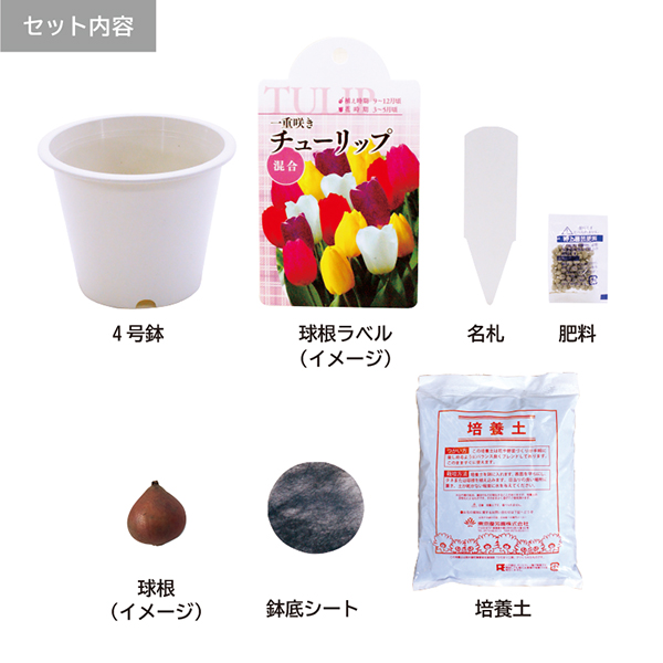 東京優芳園｜デラックス栽培球根セットL