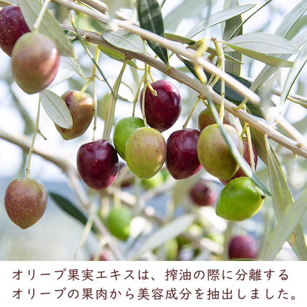 トレアモイスチャーゲルクリーム 50g