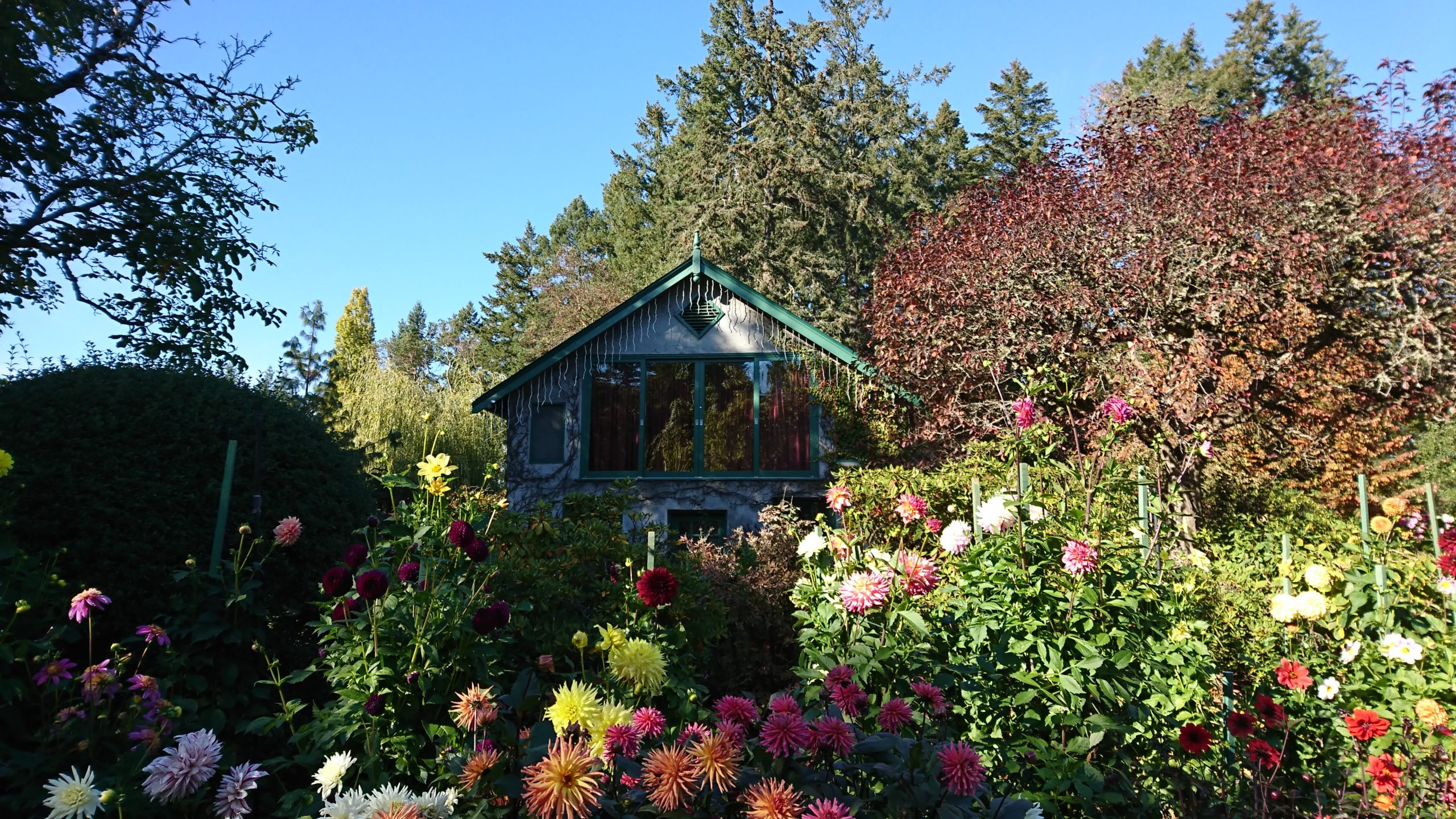 絵画のようなお庭 – TONZAKOな世界