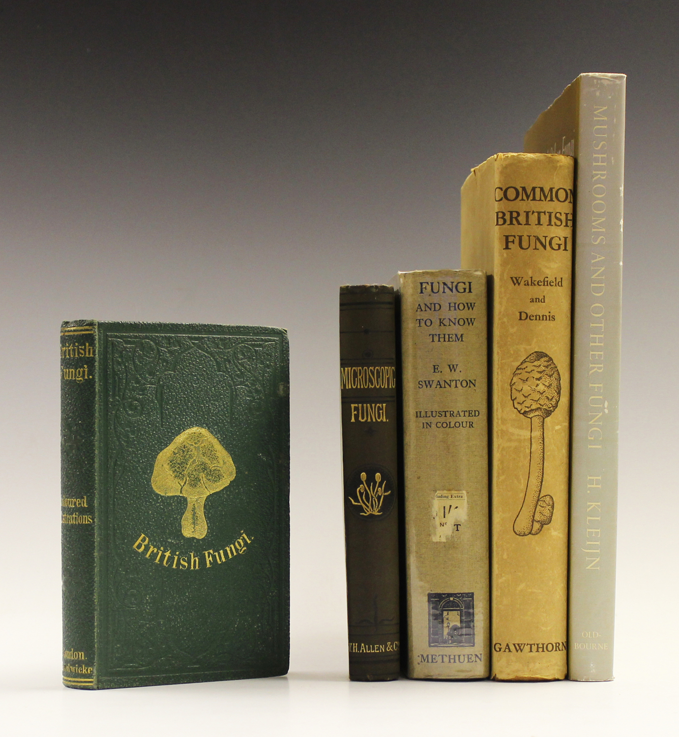 MYCOLOGY. - M.C. COOKE. A Plain and Easy Account of British Fungi