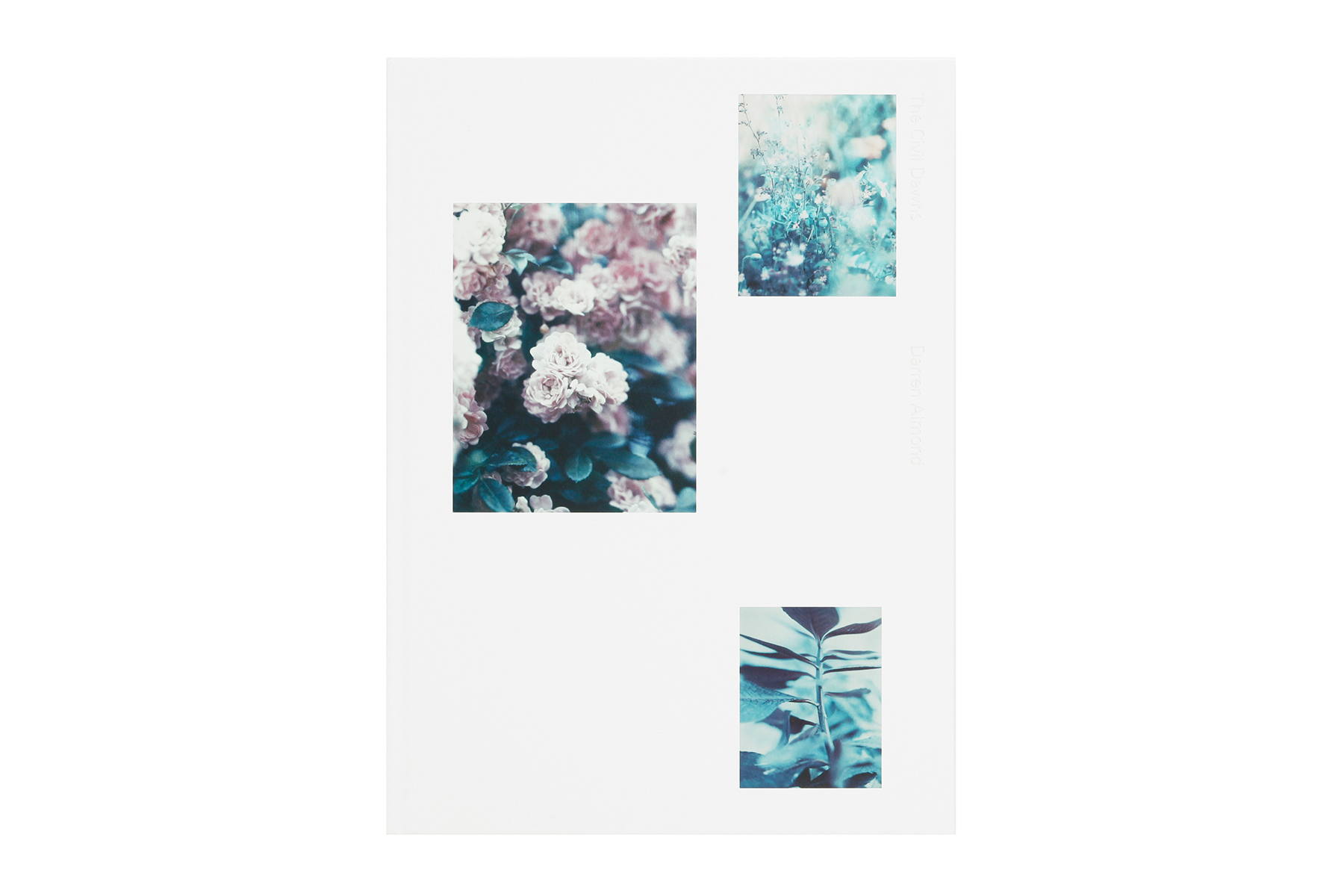 The Civil Dawns – torch press