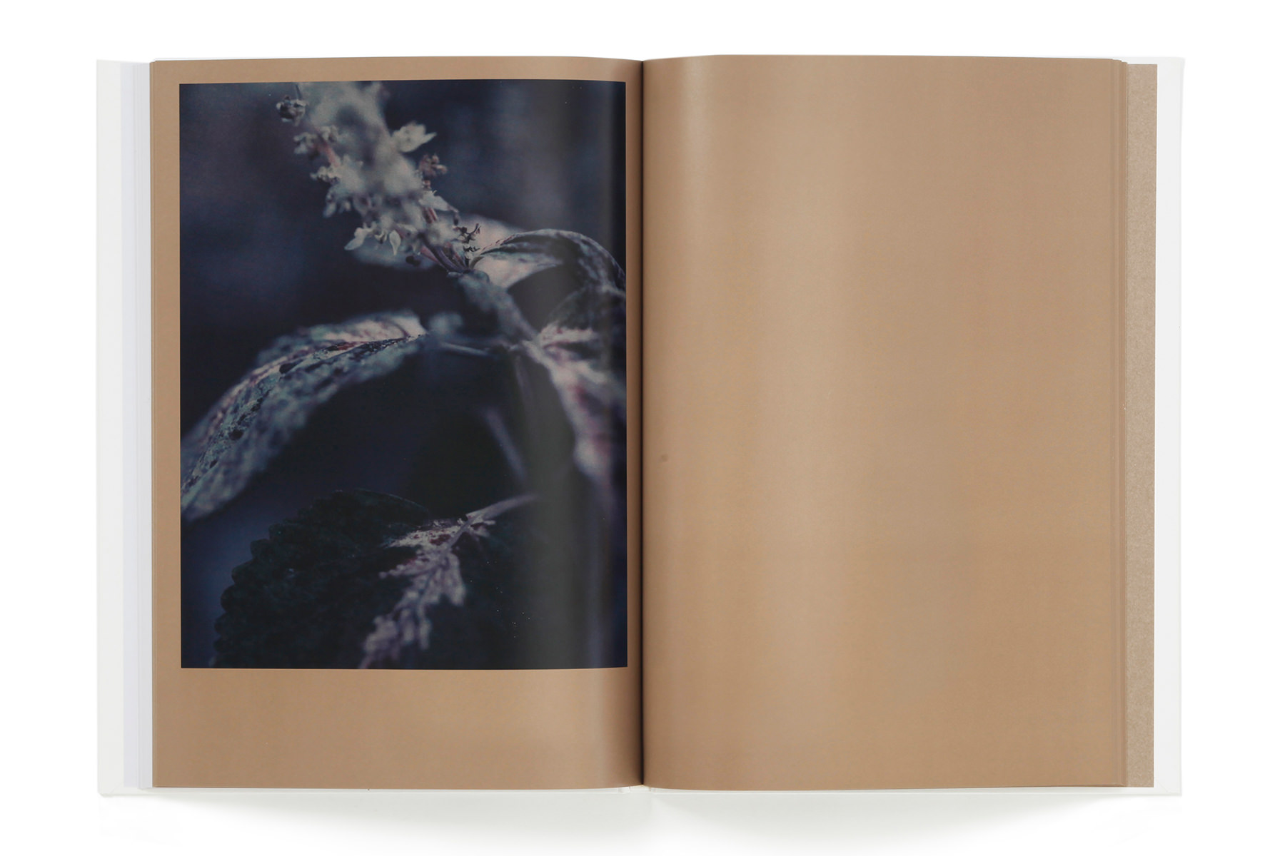 The Civil Dawns – torch press