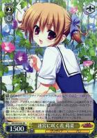 カードを買う/ヴァイスシュヴァルツ/2021年度作品/グリザイアの果実