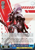 カードを買う/ヴァイスシュヴァルツ/2024年度作品/勝利の女神：NIKKE