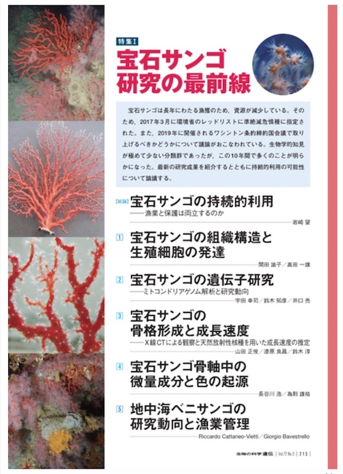 Tosasango 珊瑚の保存情報