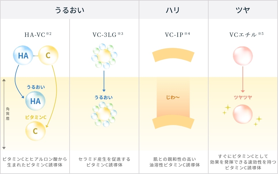 2月よりどり割対象商品】エステファクト 3DパーフェクタージェルEX