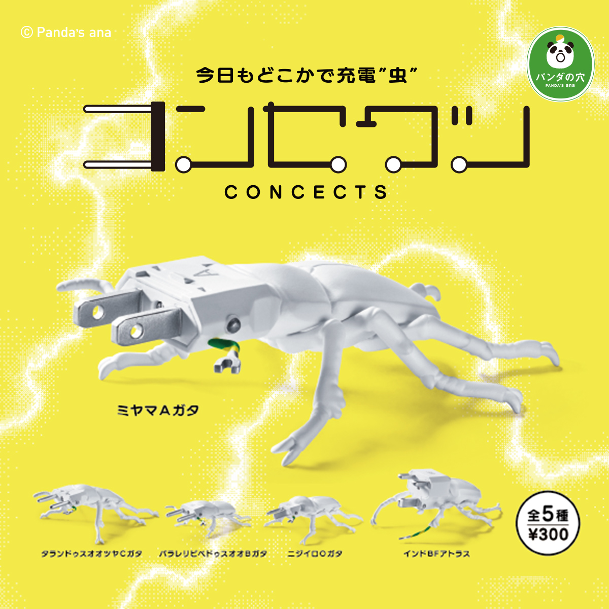 パンダの穴 コンセクツ｜商品情報｜タカラトミーアーツ