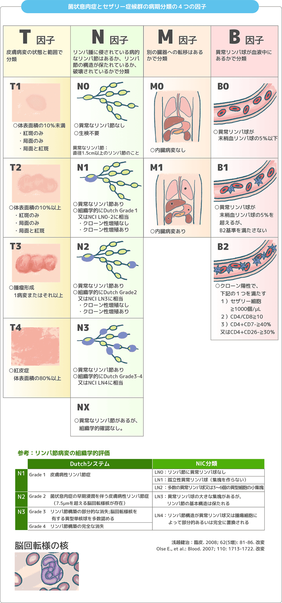 皮膚リンパ腫の診断 - 皮膚リンパ腫のお話