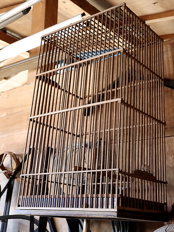 花と小鳥と竹籠と - 竹虎四代目がゆく！