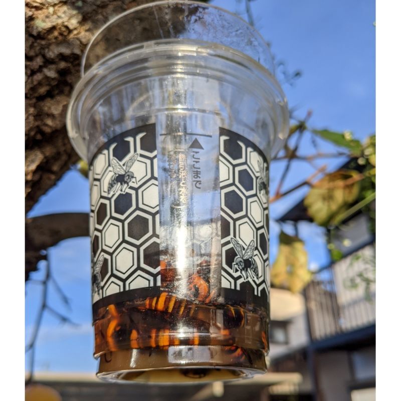 値下げ]業務用スズメバチ捕獲器（2個入り）｜スズメバチ用誘引捕獲剤